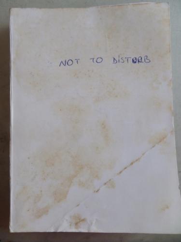 Not To Disturb Muriel Spark