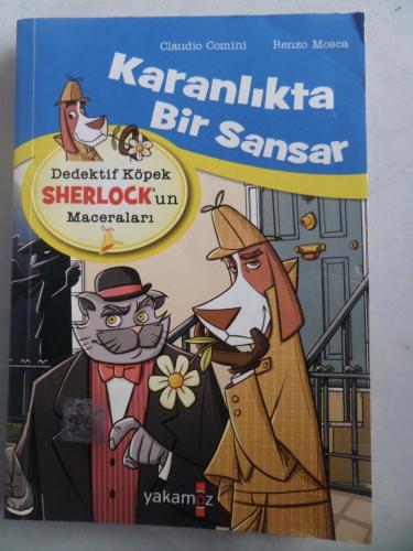 Karanlıkta Bir Sansar