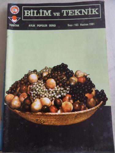 Bilim ve Teknik 1981 / 163