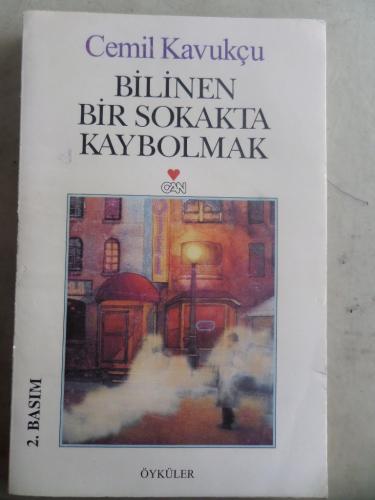 Bilinen Bir Sokakta Kaybolmak