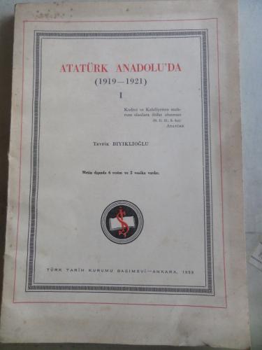 Atatürk Anadolu'da I