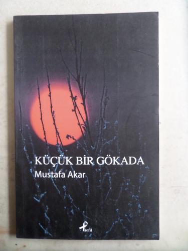 Küçük Bir Gökada