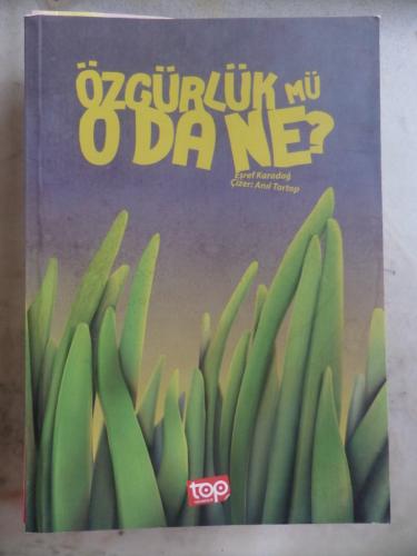 Özgürlük Mü Oda Ne