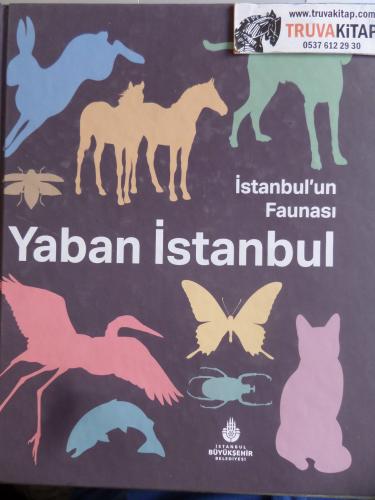 İstanbul'un Faunası Yaban İstanbul