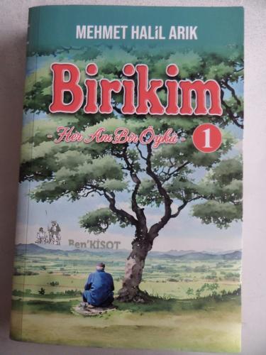 Birikim 1 Her Anı Bir Öykü