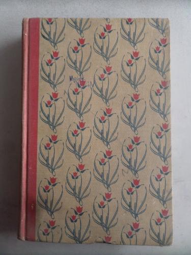 Hans Brinker Or The Silver Skates Mary Mapes Dodge