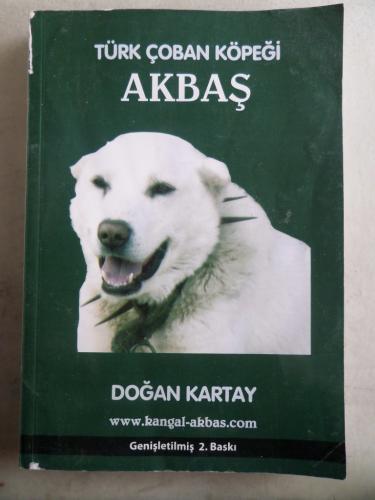 Türk Çoban Köpeği Akbaş