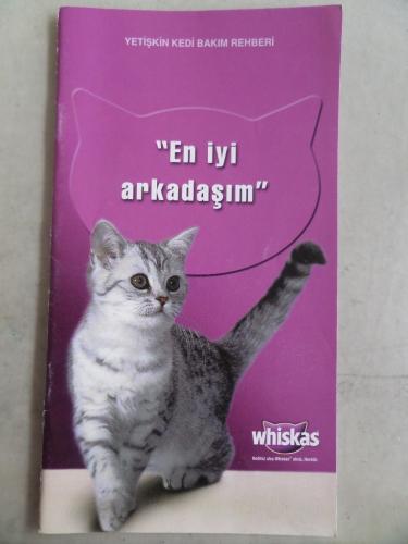 Yetişkin Kedi Bakım Rehberi