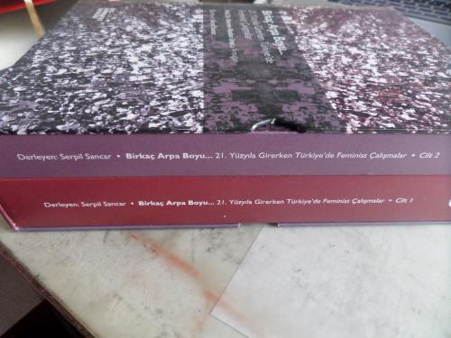 Birkaç Arpa Boyu / 21. Yüzyıla Girerken Türkiye'de Feminist Çalışmalar Birkaç Arpa Boyu / 21. Yüzyıla Girerken Türkiye'de Feminist Çalışmalar