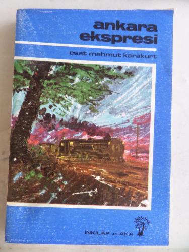 Ankara Ekspresi