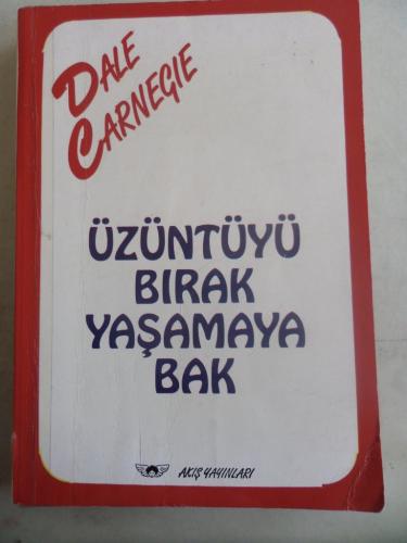 Üzüntüyü Bırak Yaşamaya Bak Dale Carnegie