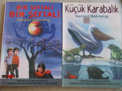Samed Behrengi Kitapları / 2 Kitap Samed Behrengi