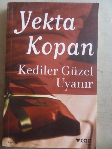 Kediler Güzel Uyanır Yekta Kopan