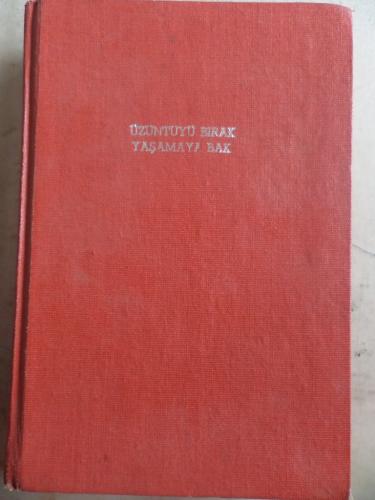 Üzüntüyü Bırak Yaşamaya Bak Dale Carnegie