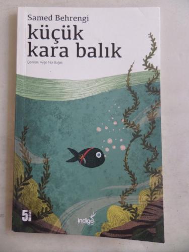 Küçük Kara Balık