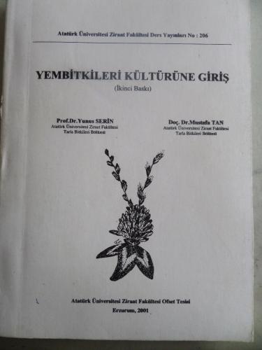 Yembitkileri Kültürüne Giriş