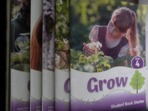 Grow Level 4 / 5 Adet