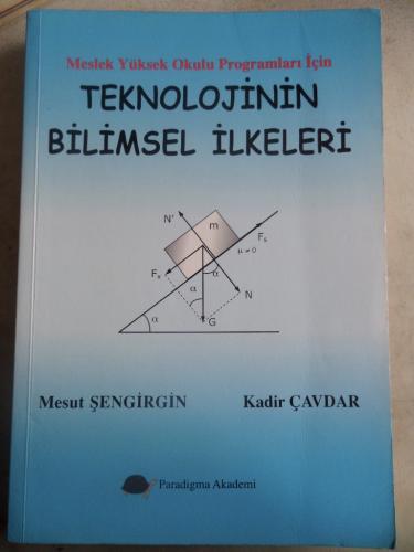 Teknolojinin Bilimsel İlkeleri