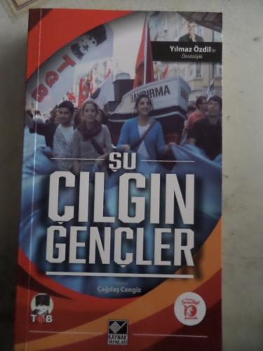 Şu Çılgın Gençler