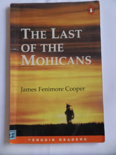 The Last Of The Mohicans - Level 2