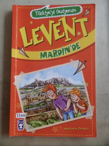 Levent Mardin'de