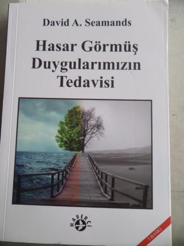 Hasar Görmüş Duygularımızın Tedavisi David A. Seamands