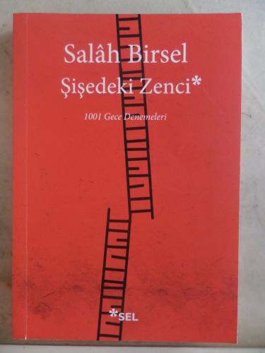 Şişedeki Zenci Salah Birsel