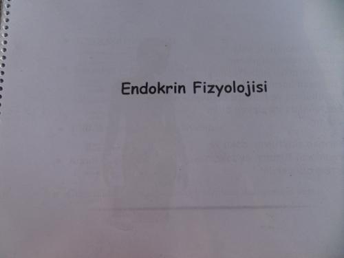 Endokrin Fizyolojisi*