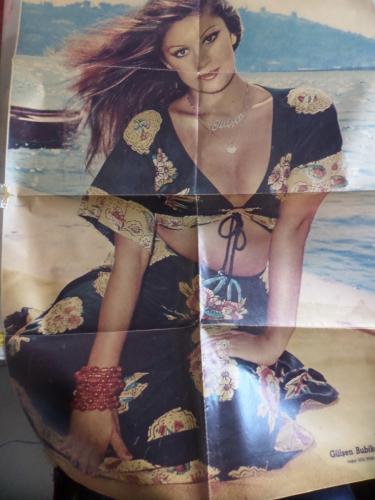 Ses Gülşen Bubikoğlu - Kadir İnanır Posteri