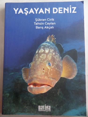 Yaşayan Deniz