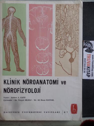 Klinik Nöroanatomi ve Nörofizyoloji