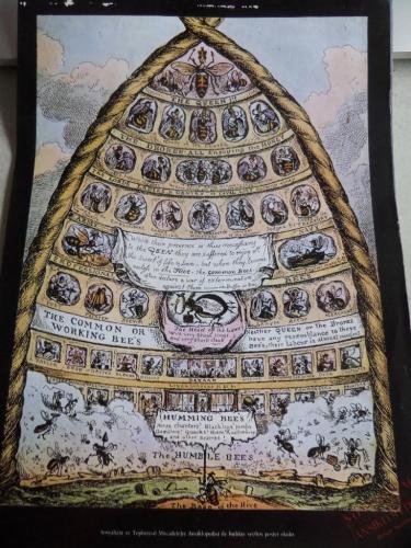 Sosyalizm ve Toplumsal Mücadeleler Ansiklopedisi Poster Eki