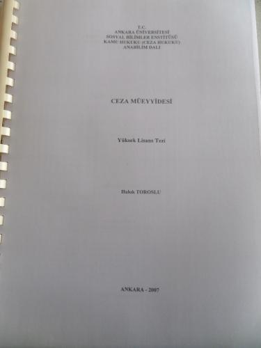 Ceza Müeyyidesi / Yüksek Lisans Tezi