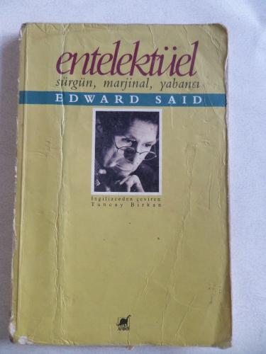 Entelektüel Sürgün Marjinal Yabancı