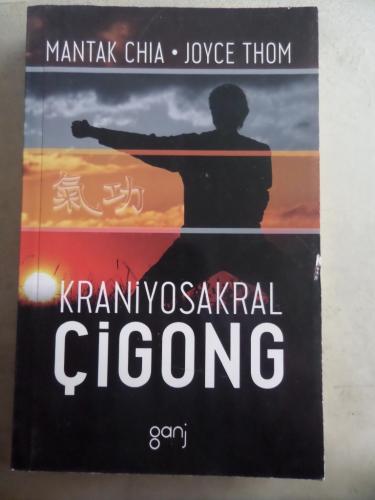 Kraniyosakral Çigong Mantak Chia