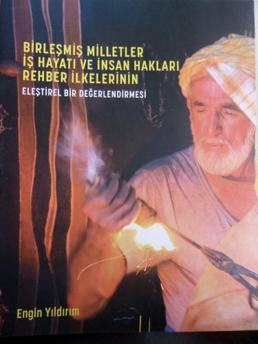 Birleşmiş Milletler İş Hayatı ve İnsan Hakları Rehber İlkelerinin Eleştirel Bir Değerlendirilmesi