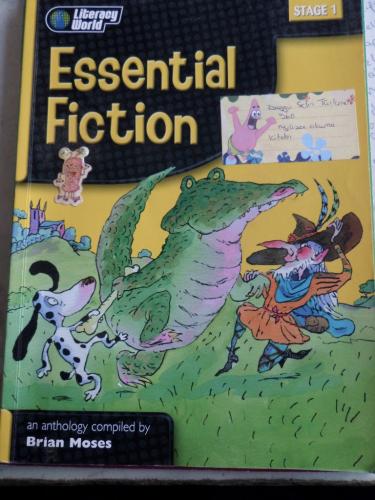 Essential Fiction Stage 1