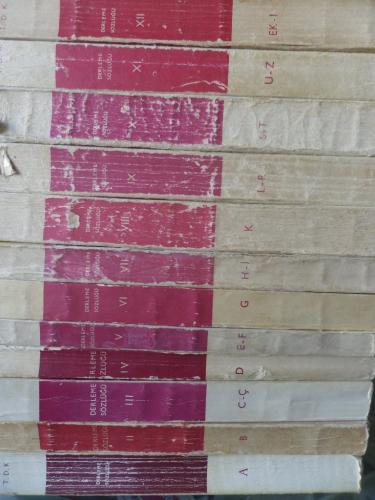 Derleme Sözlüğü / 12 Adet