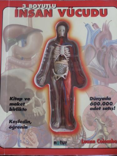 3 Boyutlu İnsan Vücudu