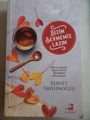Bizim Sevmemiz Lazım