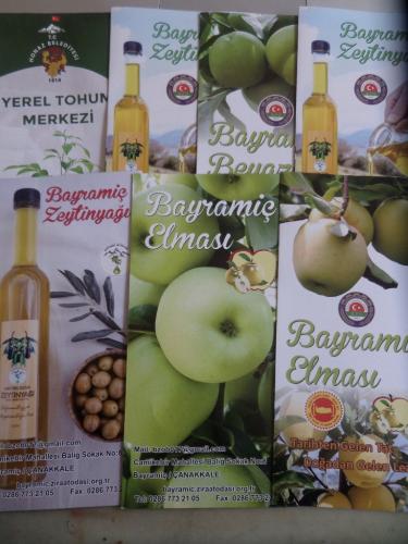 Bayramiç Katalogları / 7 Adet