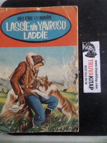 Lassienin Yavrusu Laddie