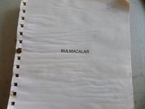 Bulmacalar