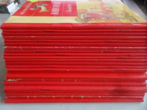 Milliyet Kitaplığı / 23 Adet