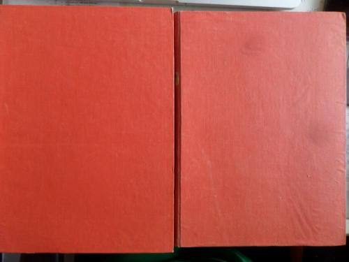 Altın Tabak / 2 Cilt Takım