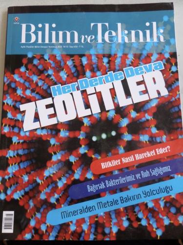 Bilim ve Teknik 2022 / 656 - Her Derde Deva Zeolitler