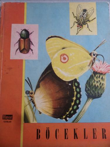 Böcekler