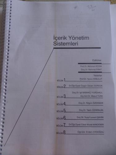 İçerik Yönetim Sistemleri