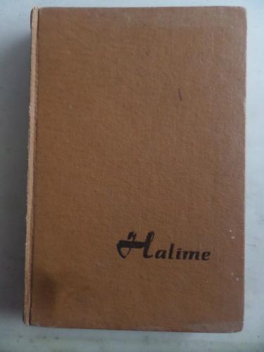 Halime Bir Anadolu Kızının Romanı