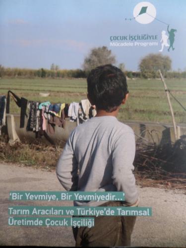 Tarım Aracıları ve Türkiye'de Tarımsal Üretimde Çocuk İşçiliği